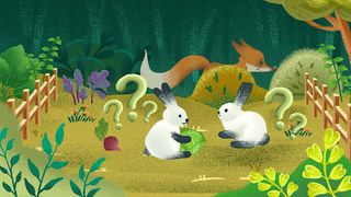 Zgapari Tusize Da Kidev tusize - Screenshot 3