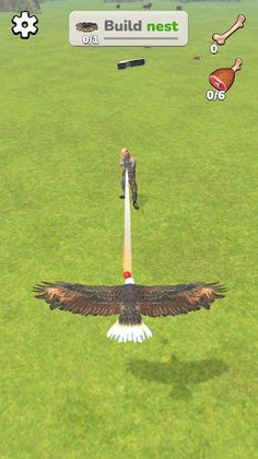 Eagle Simulator - Screenshot 4