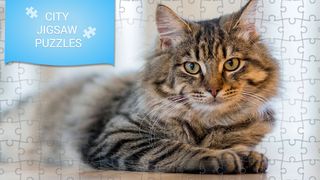 Cute Cats Jigsaw Puzzles Games - Screenshot 1