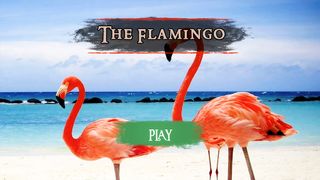 The Flamingo - Screenshot 2