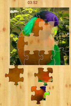 bird puzzle - Screenshot 4