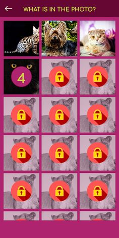Cat & Dog Breeds Quiz - Screenshot 2