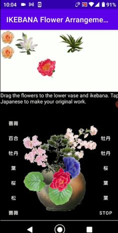 FlowerArrangement_01 - Screenshot 4