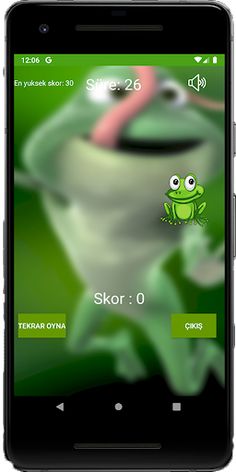 Catch The Frog - Screenshot 2