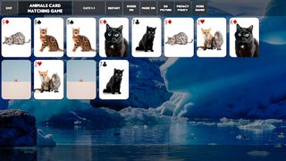 Animals Card Matching Game - Screenshot 2