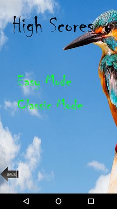 Brisky Bird - Screenshot 2