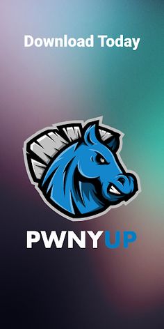 PwnyUp - Screenshot 4