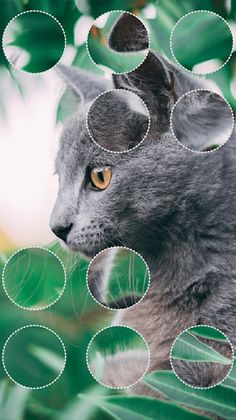 Daily Art Puzzle - Circle Game - Screenshot 1