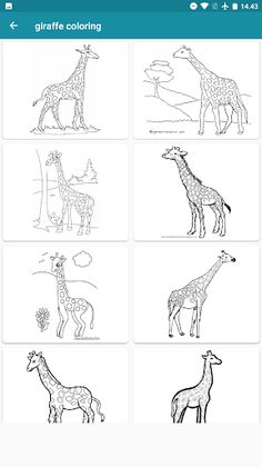 coloring african giraffe - Screenshot 4