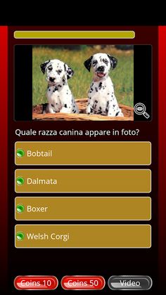 Speedy Quiz - Screenshot 3