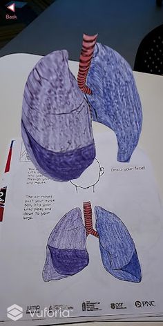 About Me 3D - Screenshot 3