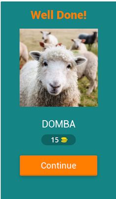 TEBAK NAMA HEWAN - Screenshot 1