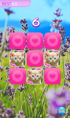 Brain games - Cat - Memory tra - Screenshot 2
