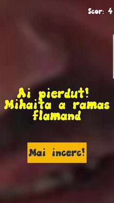 Aripioare din Berceni - Screenshot 2