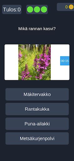 Suomi-Visailu - Screenshot 2