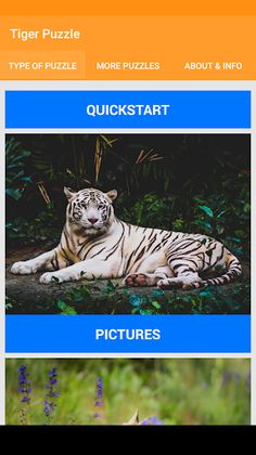 Tiger Jigsaw Puzzle - Screenshot 1