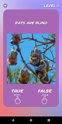 DYK: Guess Right - Learn Facts - Screenshot 3