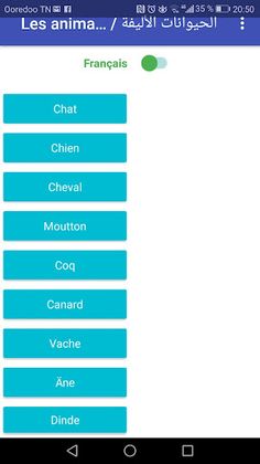 Les animaux domestiques - Screenshot 1