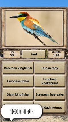 Animal Kingdom - Quiz Game - Screenshot 3