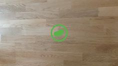 Pickles AR - Screenshot 4