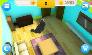 Dog Home - Screenshot 1