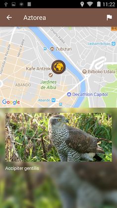 Euskal Biodibertsitatea - Screenshot 3