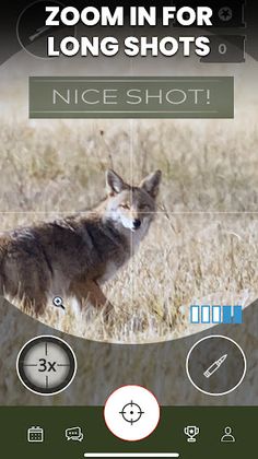 Shoot & Release: Camera Hunter - Screenshot 4