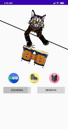 Luci Bongo Cat - Screenshot 2