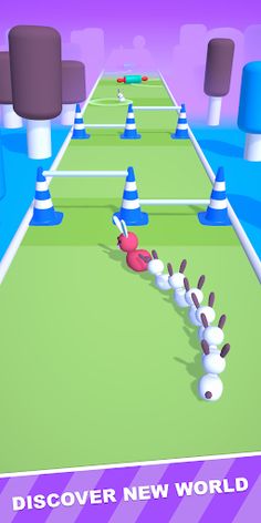 Pet Run 3D - Screenshot 4