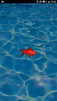 Game for cat | fish - Screenshot 4