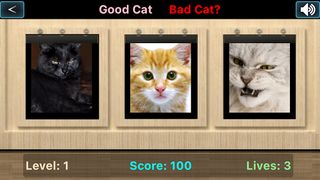 Good Cat Bad Cat - Screenshot 2