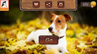 Jack Russell Terrier Simulator - Screenshot 2
