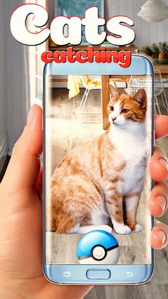 Collect all cats! - Screenshot 2