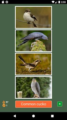 Who I am? - Screenshot 2