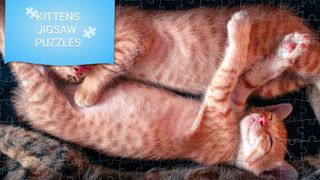 Kittens jigsaw puzzles games - Screenshot 1