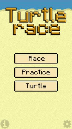 Turtle Race - Screenshot 1