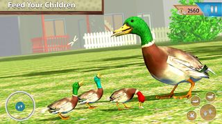 Virtual Duck Pet Bird games - Screenshot 2