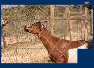 AndrPuzzle - Screenshot 3