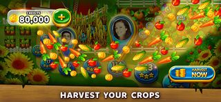 Solitaire Harvest - Tripeaks - Screenshot 3