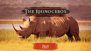 The Rhinoceros - Screenshot 2