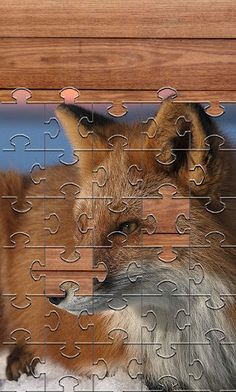 Fox Jigsaw Puzzles Games - Screenshot 2