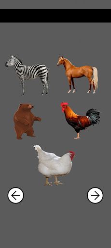 Animal Sounds - Screenshot 3