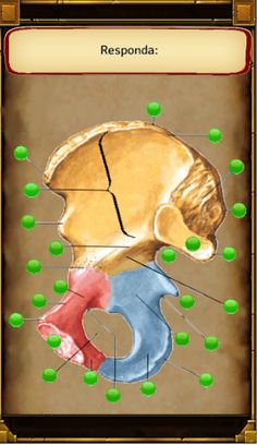 Jogando E Aprendendo Anatomia - Screenshot 2