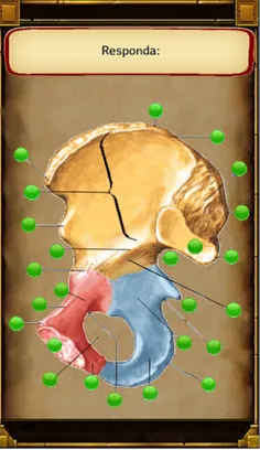 Jogando E Aprendendo Anatomia - Screenshot 2