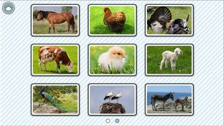 107 Dyr: Premium Version - Screenshot 2