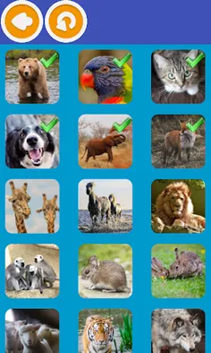 Animal Quiz - Screenshot 2