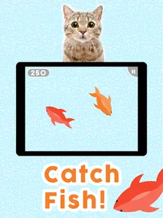Games for Cats! - Screenshot 1