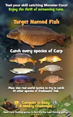 Carpcraft: Carp Fishing - Screenshot 1