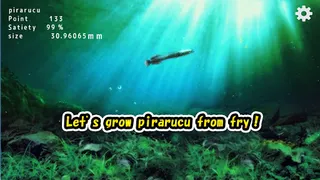 Pirarucu rising from fry - Screenshot 1