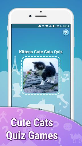 Cats quiz guess kittens cute g - Screenshot 2